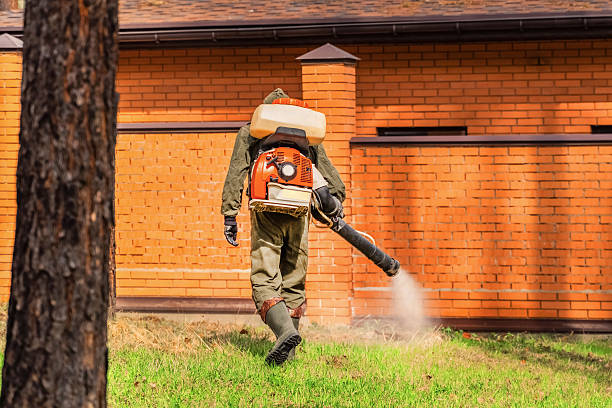 Top rated local Ant Control specialists in Konawa, OK